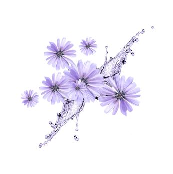 Beautiful purple flowers in a splash of water