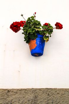 Geranium flowerpot on white wall in Mojacar village, Andalusia, Spain