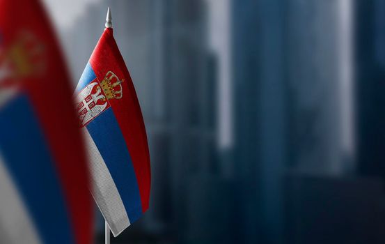 Small flags of Serbia on a blurry background of the city.