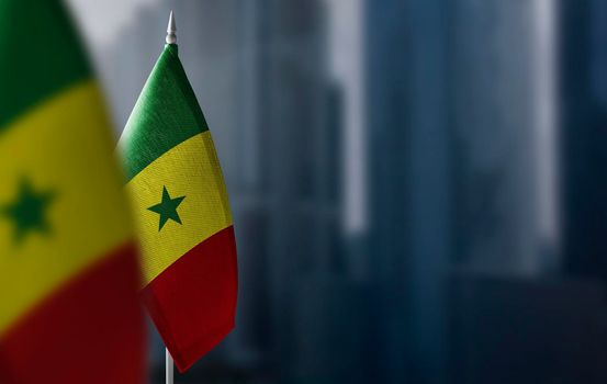Small flags of Senegal on a blurry background of the city.