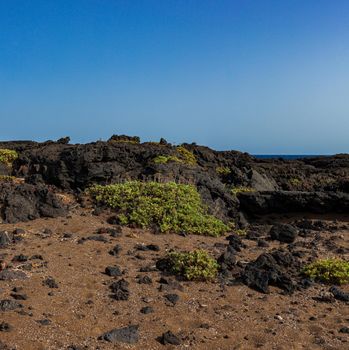 View of the lava rock in the Linosa coast, Sicily. Italy