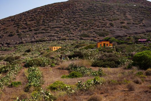 Characteristic view of Linosa with the typical colorful houses and the pricly pears in the garden, Linosa. Sicily