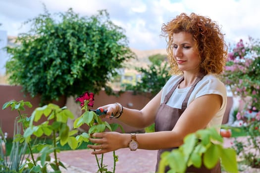 Woman in garden with pruner caring for flowering rose bush. Beautiful middle-aged female in apron with garden shears, gardening, floristics, hobbies and leisure, natural beauty