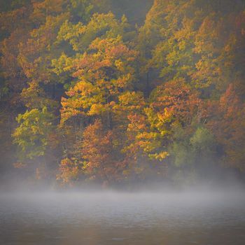 Autumn landscape. Beautiful colorful leaves in nature with the sun. Seasonal concept outdoors in autumn park.