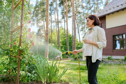 Middle-aged woman in the backyard watering the flowers of the blooming rose bushes from the garden hose. Hobbies and leisure, plant care, gardening