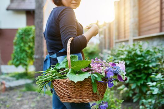 Woman gardener in spring garden with basket of fresh flowers. Hobby, leisure, floristry, nature, beauty, flower arrangement, creative bouquet, holiday concept