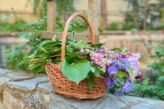 Basket with fresh spring cut flowers in the garden. Nature, spring, beauty, bouquet, floristry, gardening concept