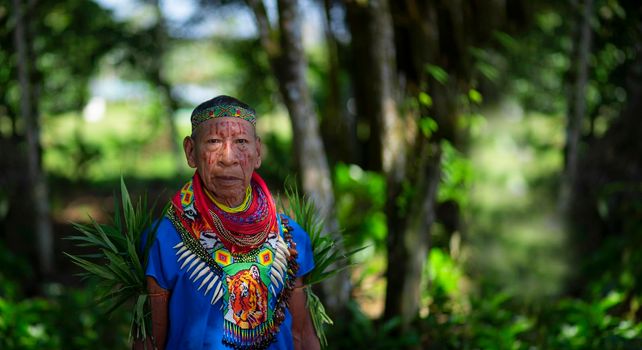 Nueva Loja, Sucumbios / Ecuador - September 2 2020: Close up of an elderly shaman of the Cofan nationality walking in the middle of the Amazon jungle