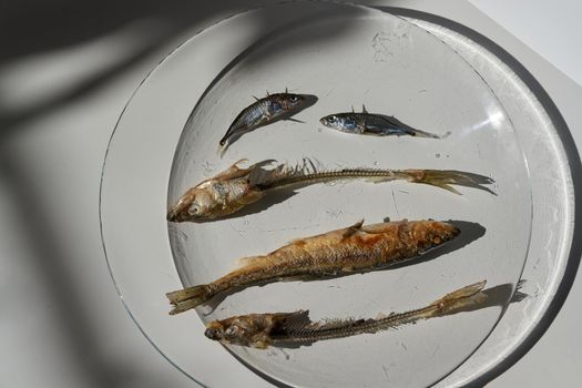 Whole fried fish smelt and fish bones on a plate. Fish before and after eating