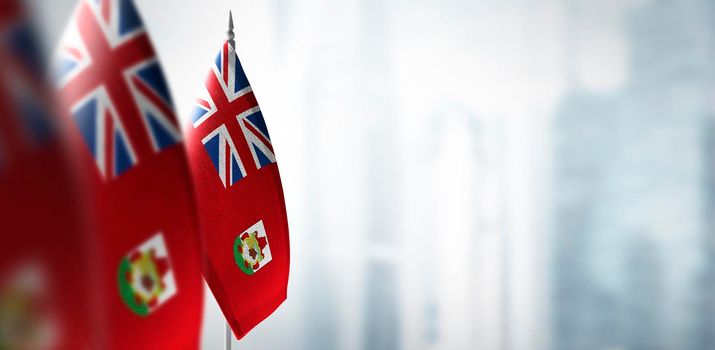Small flags of Bermuda on a blurry background of the city.