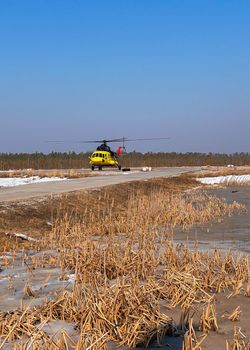 A yellow helicopter takes off from a platform in the remote northern area of the swampy forest-tundra.