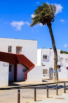 Las Negras, Almeria, Spain- September 5, 2021: White houses and palm tree in Las Negras village, Cabo de Gata, Almeria, Spain