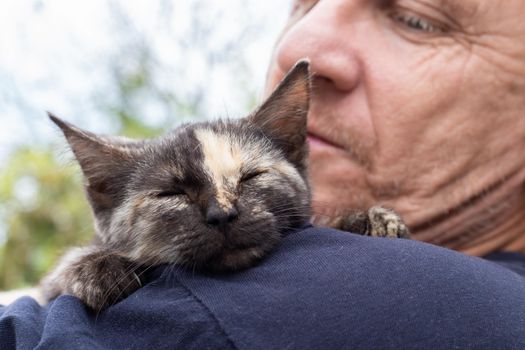 A kitten with a strip on its nose sleeps on the shoulder of an adult man. Love for pets.
