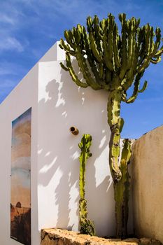 Rodalquilar, Almeria, Spain- September 7, 2021: Whitewashed houses with bougainvillea and cactus in Rodalquilar, Andalusia, Spain