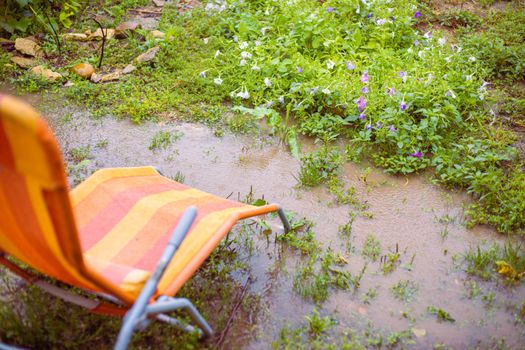 A chaise longue stands in a garden with flowers in a puddle from the falling rain. Autumn season in the yard of the house. Selective focus.