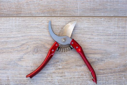 Garden shears pruner with red handles on a wooden background. Professional tool for plant care and pruning.