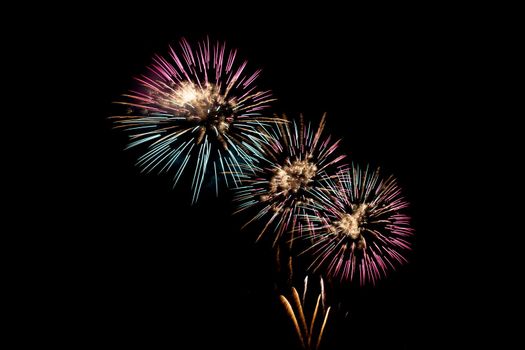 Many flashing colorful fireworks in event amazing with black background celebrate New Year, holiday and festival in night.