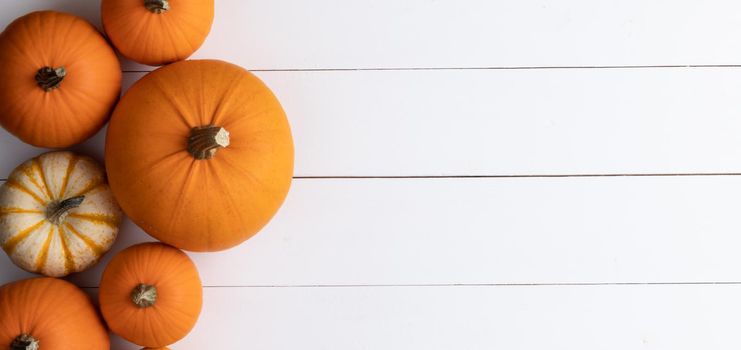 Many pumpkins top view border frame banner design over a rustic white wood background