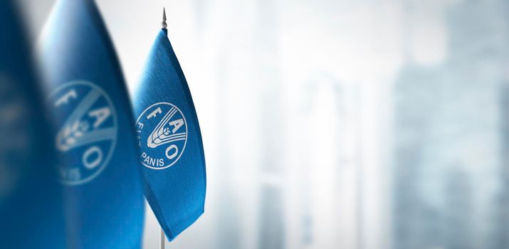 Small flags of Food and agriculture organization on a blurry background of the city.