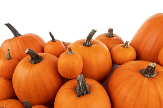 Many orange pumpkins frame isolated on white background, autumn harvest, Halloween or Thanksgiving concept