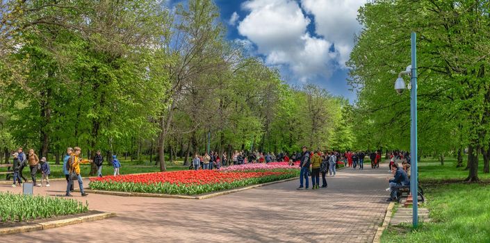 Kropyvnytskyi, Ukraine 09.05.2021. Kropyvnytskyi arboretum in the city park on a sunny spring day