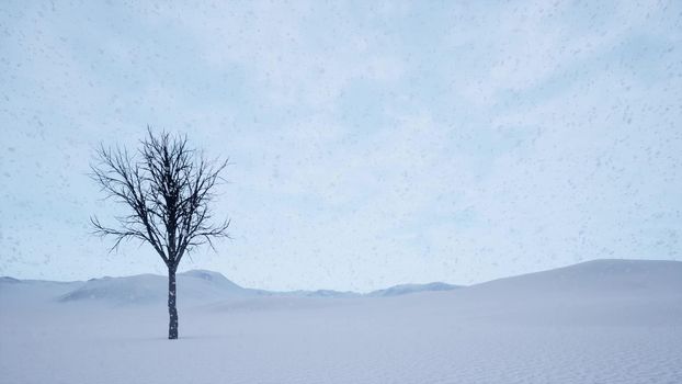 Snow is falling in realistic 3d style Dramatic sky landscape one tree 3d render