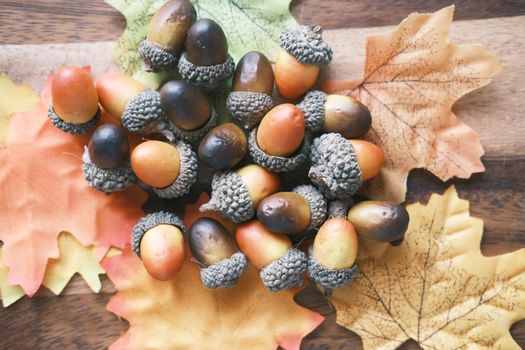 autumn maple dried leaves, acorns on table