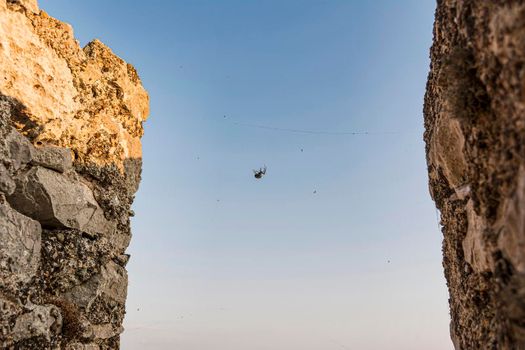 Zebra spider on spider web between two rocks, Greece
