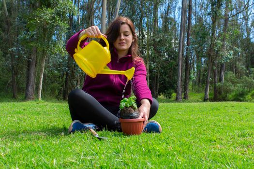 Beautiful Hispanic young woman watering water on a small plant inside a pot in her home garden during the morning
