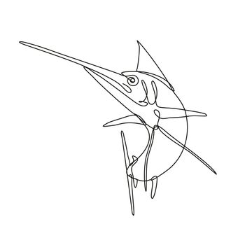 Continuous line drawing illustration of an angry Atlantic blue marlin jumping up done in mono line or doodle style in black and white on isolated background. 