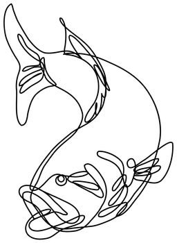 Continuous line drawing illustration of a bucketmouth bass or largemouth jumping down done in mono line or doodle style in black and white on isolated background. 