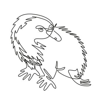 Continuous line drawing illustration of an Echidna or spiny anteater side view done in mono line or doodle style in black and white on isolated background. 