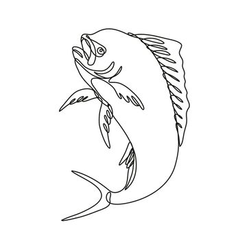 Continuous line drawing illustration of a dorado dolphin fish or mahi mahi Jumping Up done in mono line or doodle style in black and white on isolated background. 