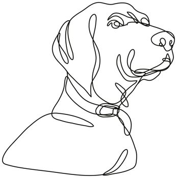 Continuous line drawing illustration of a Labrador retriever dog head looking up  done in mono line or doodle style in black and white on isolated background. 