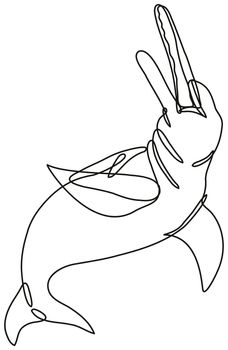 Continuous line drawing illustration of an  Amazon River Dolphin or boto done in mono line or doodle style in black and white on isolated background. 