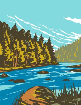 Art Deco or WPA Poster of Bavarian Forest National Park or Nationalpark Bayerischer Wald in Eastern Bavarian Forest on Germany border with Czech Republic done in works project administration style.