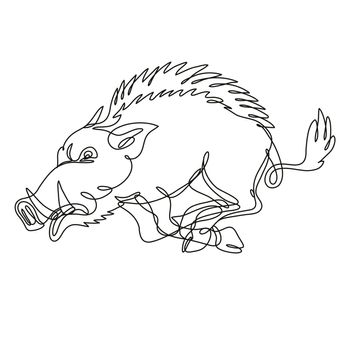 Continuous line drawing illustration of a razorback wild boar running attacking side view  done in mono line or doodle style in black and white on isolated background. 