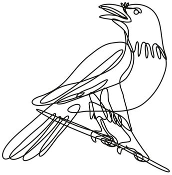 Continuous line drawing illustration of a common raven perching on branch done in mono line or doodle style in black and white on isolated background. 