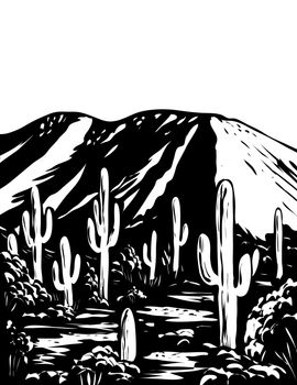 WPA poster monochrome art of Wasson Peak in the Tucson Mountain District of Saguaro National Park Arizona, USA done in works project administration black and white style.