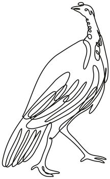 Continuous line drawing illustration of a  done in mono line or doodle style in black and white on isolated background. 