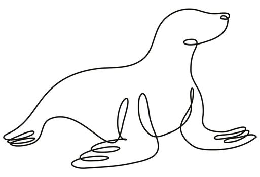 Continuous line drawing illustration of a seal viewed from side done in mono line or doodle style in black and white on isolated background. 