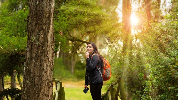 Beautiful Hispanic woman dressed in black with backpack walking alone on a forest path with sun rays between the trees during the morning
