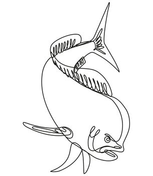 Continuous line drawing illustration of a dorado dolphin fish or mahi mahi diving down done in mono line or doodle style in black and white on isolated background. 