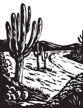 WPA poster monochrome art of the Saguaro National Park located in Pima County, southeastern Arizona, USA done in works project administration black and white style.