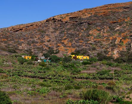 View of typical colorful houses of Linosa in the countryside, Sicily