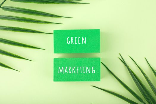 Green marketing minimal concept in monochromatic green colors. Green marketing text hand written on two tablets on green background decorated with palm leaves
