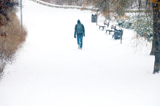 A man walks in the park on a snowy winter day