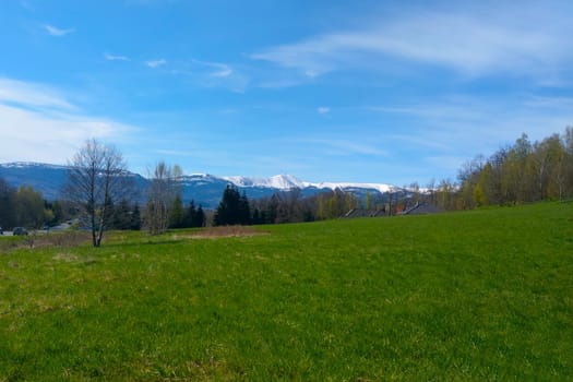 Picturesque view of the mountain with snow at the top on a sunny summer day