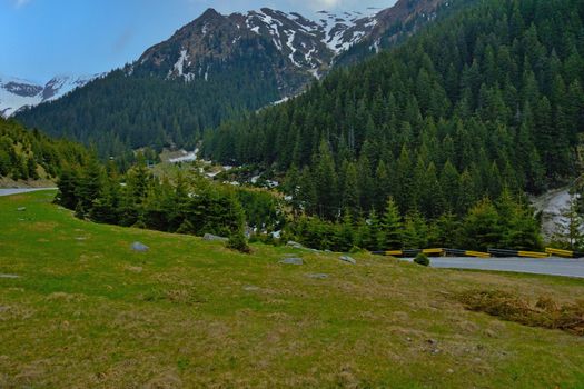 Mountain picturesque road against the background of green trees