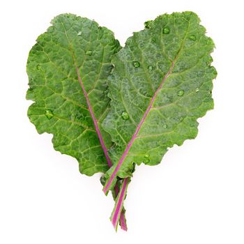 Flat lay fresh kale leaves in heart shape isolated on white background. Top view love healthy organic food.